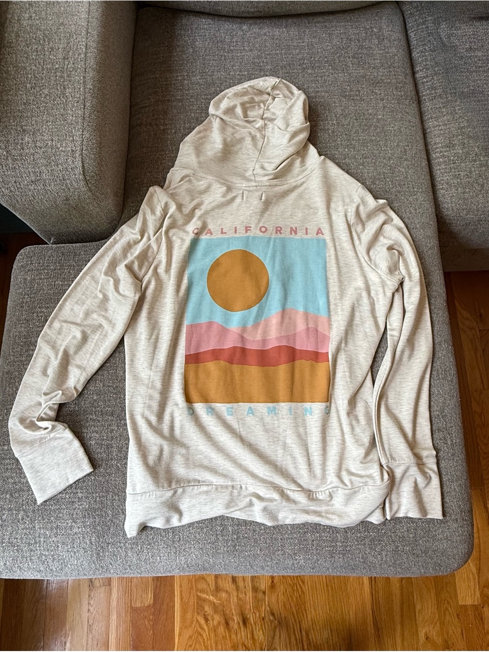 Market & Spruce BNWT Graphic hoodie